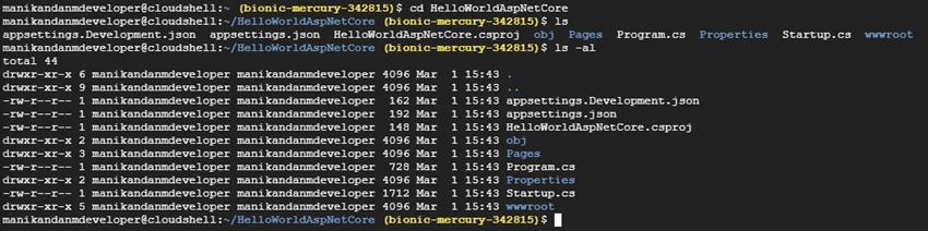 Building and Launching an ASP.NET Core App from Google Cloud Shell